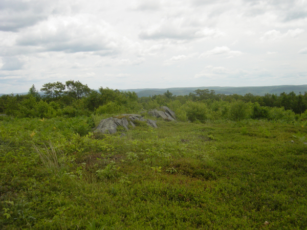 The stone bedrock outcrop on Burnt Hill. 